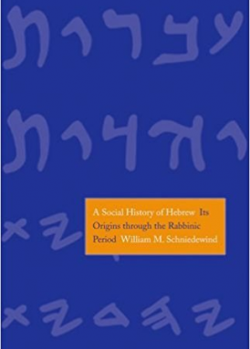 Social History of Hebrew: Its Origins Through the Rabbinic Period book cover